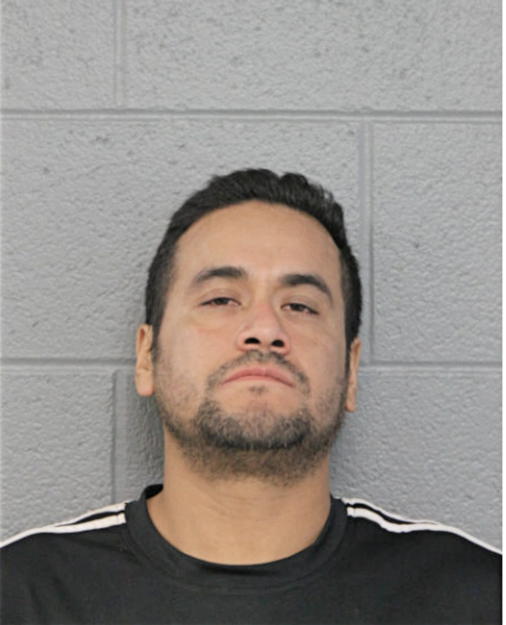 SERGIO PALOMERA, Cook County, Illinois
