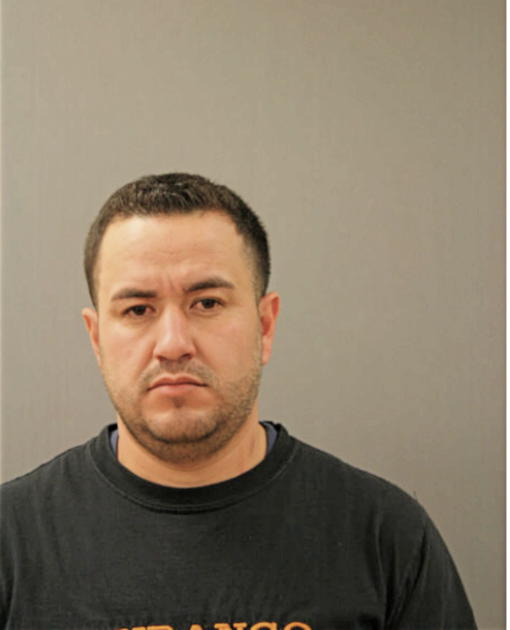 GUSTAVO PUENTES-LUNA, Cook County, Illinois