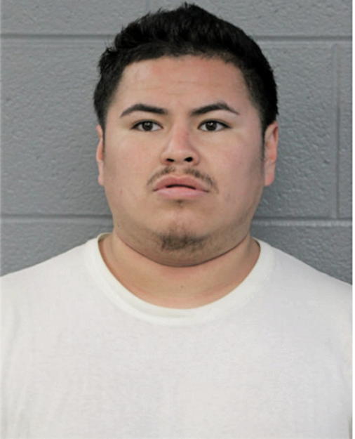 DANIEL REYES, Cook County, Illinois
