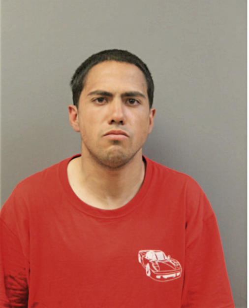 YONUEL ROSARIO, Cook County, Illinois