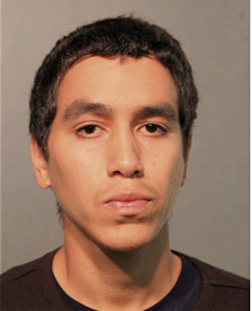 CEDRIC VEGA, Cook County, Illinois