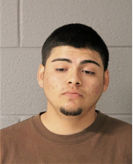 DANIEL P VEGA, Cook County, Illinois