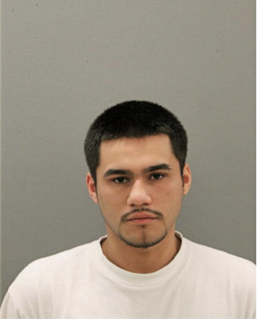ALEJANDRO VILLARREAL, Cook County, Illinois