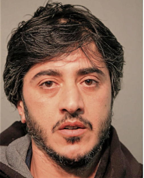 TEARY N YOUNAN, Cook County, Illinois