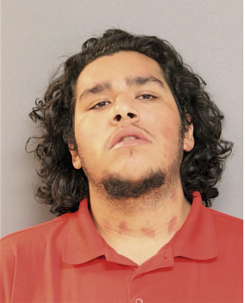 ERIC ALCANTAR, Cook County, Illinois