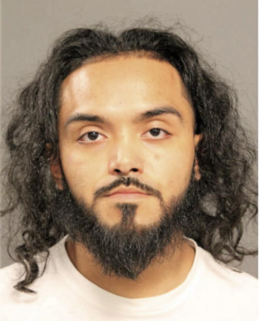 GERARDO ALEXIS GAMEZ, Cook County, Illinois
