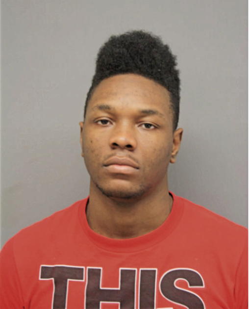 MATTHEW W BRIGHT, Cook County, Illinois
