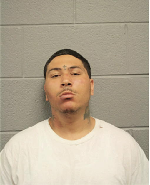NICHOLAS BROWN, Cook County, Illinois