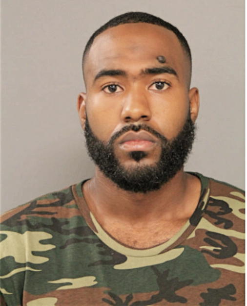 JOHNATHAN R BRUNT, Cook County, Illinois