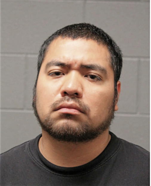 EDGAR G CALDERON, Cook County, Illinois