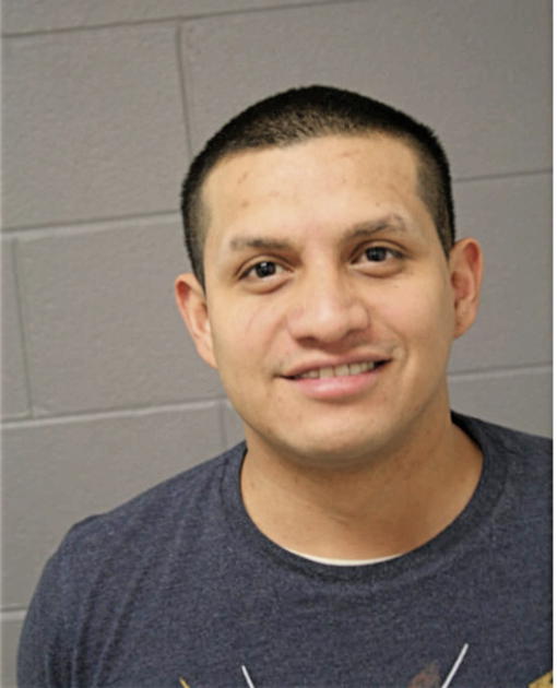 CARLOS E CERRITOS, Cook County, Illinois