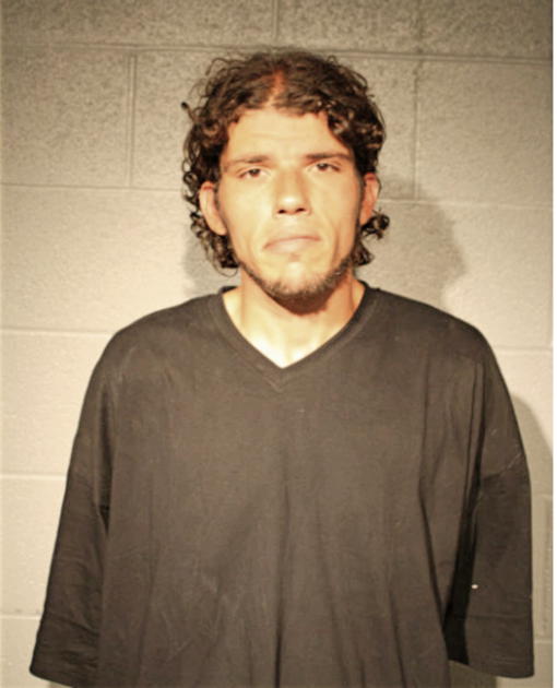 LUIS G CRUZ, Cook County, Illinois