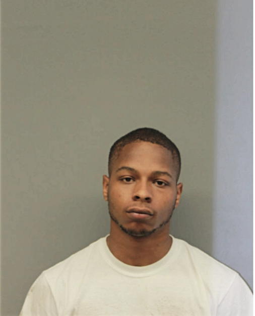MARTIN L DAVIS, Cook County, Illinois