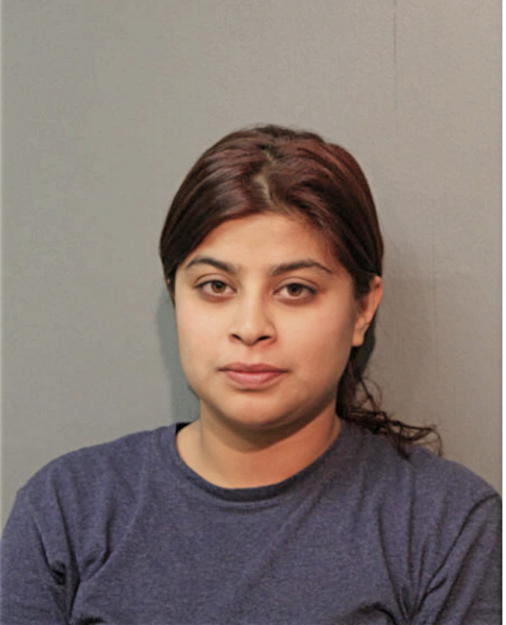 ARIANNA M FLORES, Cook County, Illinois