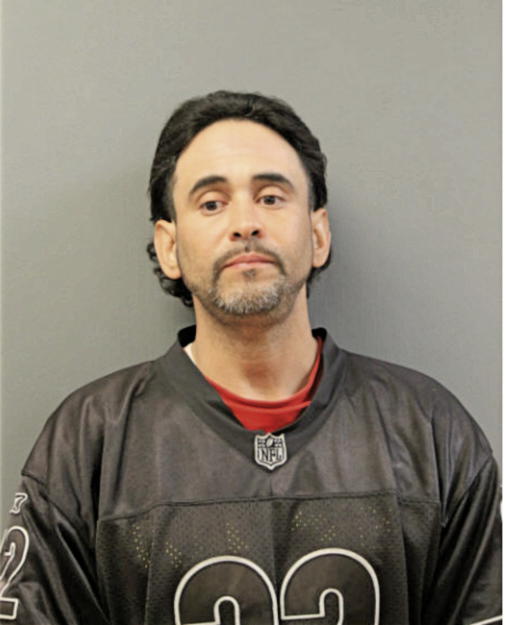 LUIS C FLORES, Cook County, Illinois