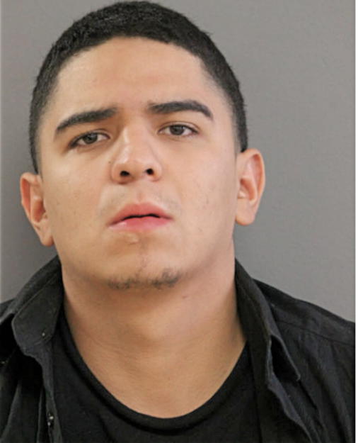 JOB D GARCIA, Cook County, Illinois