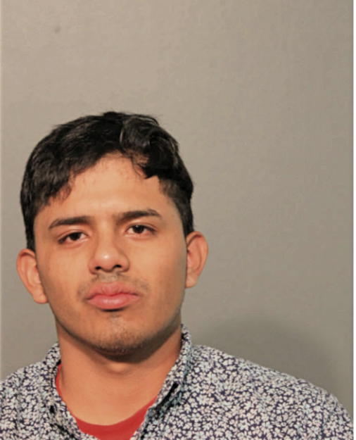 BERNARDO GOMEZ, Cook County, Illinois