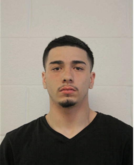 STEPHEN RAEL HOLMES, Cook County, Illinois