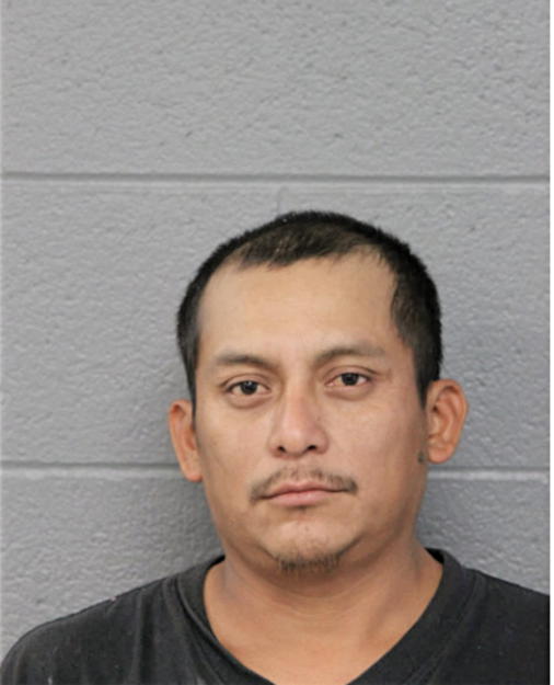 SANTIAGO LAIZ, Cook County, Illinois