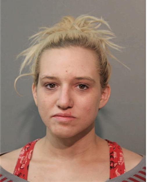 DANIELLE M HIGHTOWER, Cook County, Illinois
