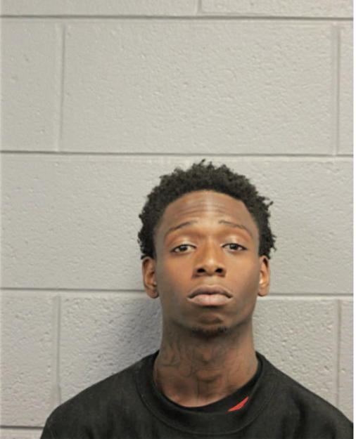 DAVID D MCDANIEL, Cook County, Illinois