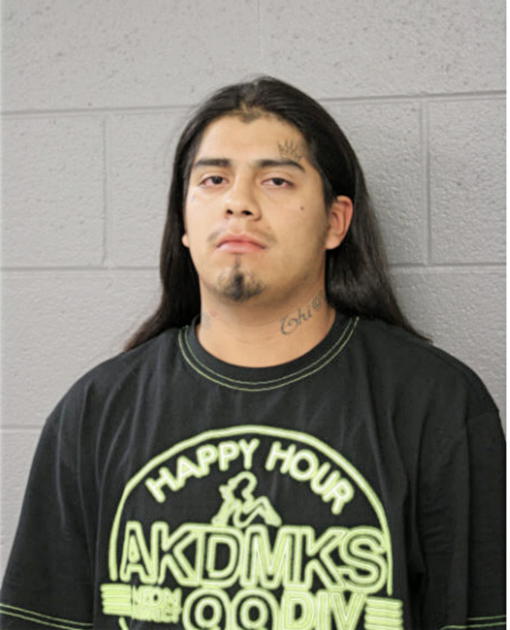 DOMINGO MENDOZA, Cook County, Illinois