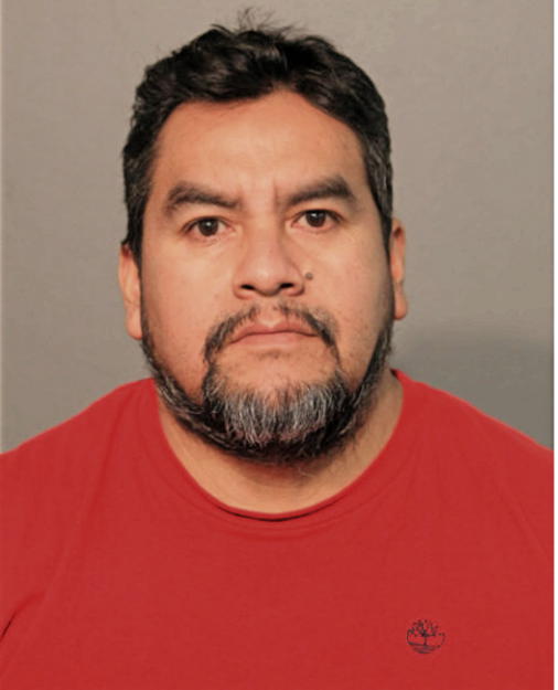 JESUS J MENDOZA, Cook County, Illinois