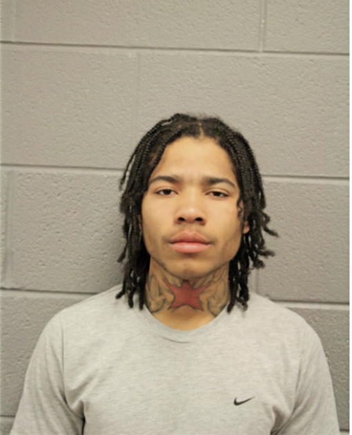 DELFONTE MILLER, Cook County, Illinois