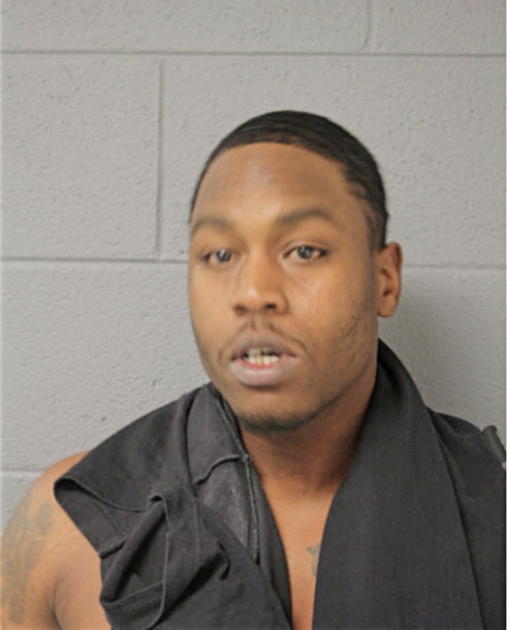 MICHAEL A MILLER, Cook County, Illinois