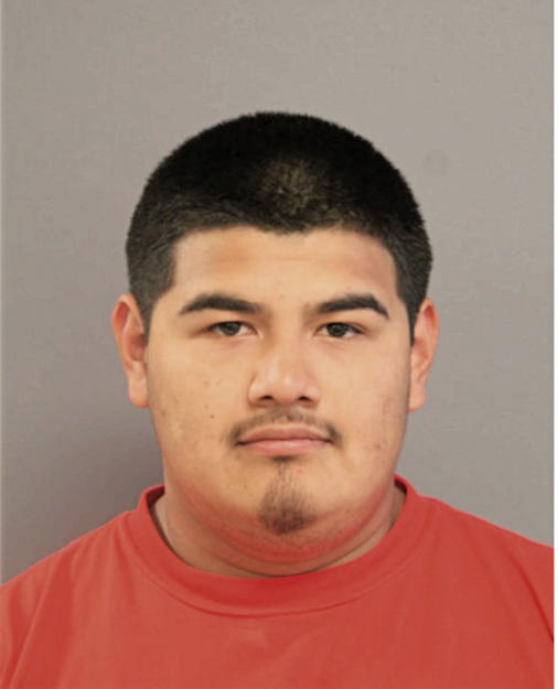 DANIEL REYES, Cook County, Illinois