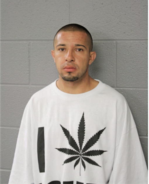 DANIEL REYNOSO, Cook County, Illinois