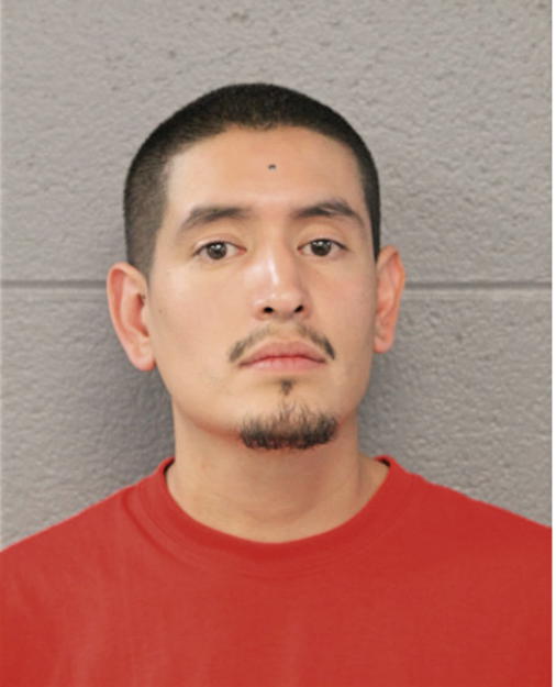 CESAR RICO, Cook County, Illinois