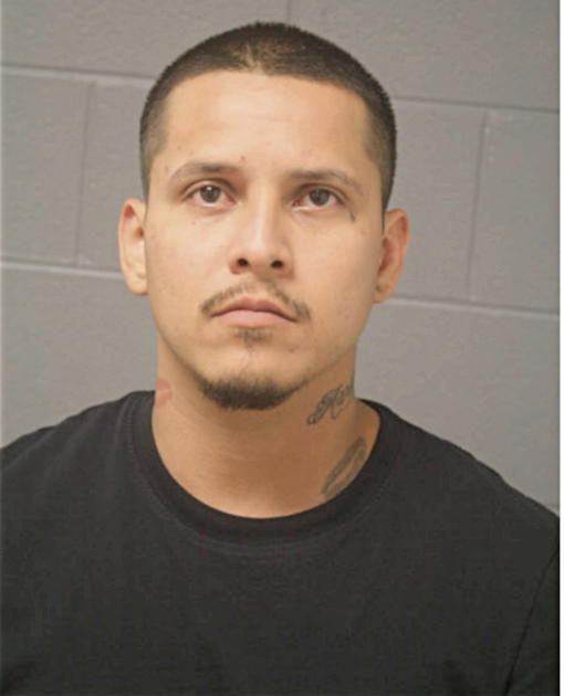 JUAN SALGADO, Cook County, Illinois