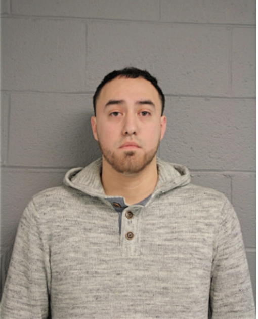 ANDREW SAUCEDO, Cook County, Illinois