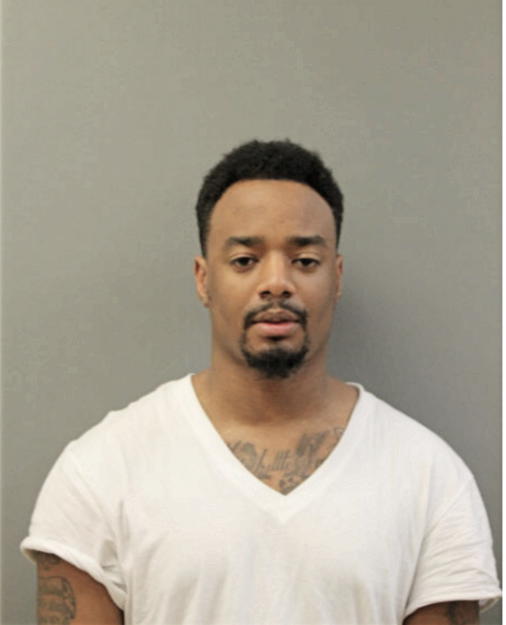 TERRENCE J SUGGS-NICHOLS, Cook County, Illinois