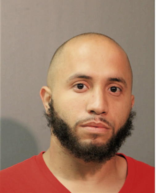 MANUEL G TORRES, Cook County, Illinois