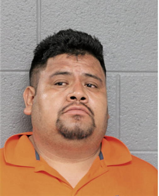 ELIAS ALEJANDRO-HILARIO, Cook County, Illinois