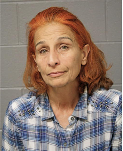 SOUSAN ALEMANSOUR, Cook County, Illinois