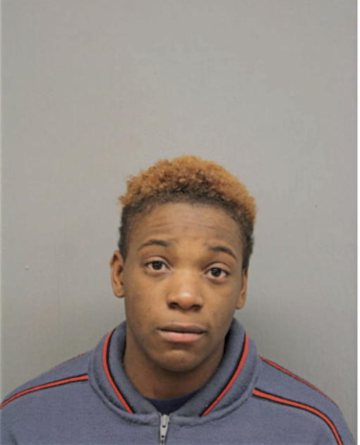 ANTOINETTE S BROWN, Cook County, Illinois