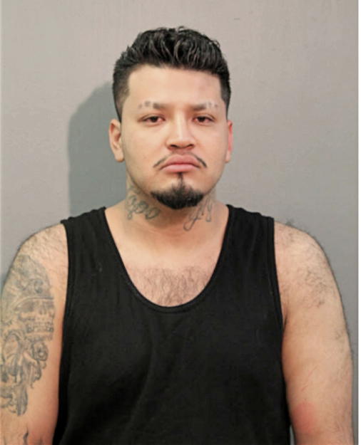 RAUL DIAZ-GARCIA, Cook County, Illinois