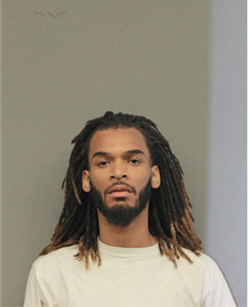 DEVONTE S DIXON, Cook County, Illinois