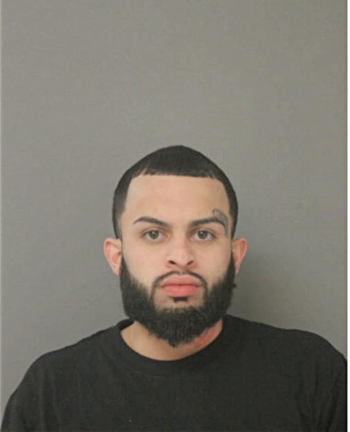ANDY ESTRADA, Cook County, Illinois