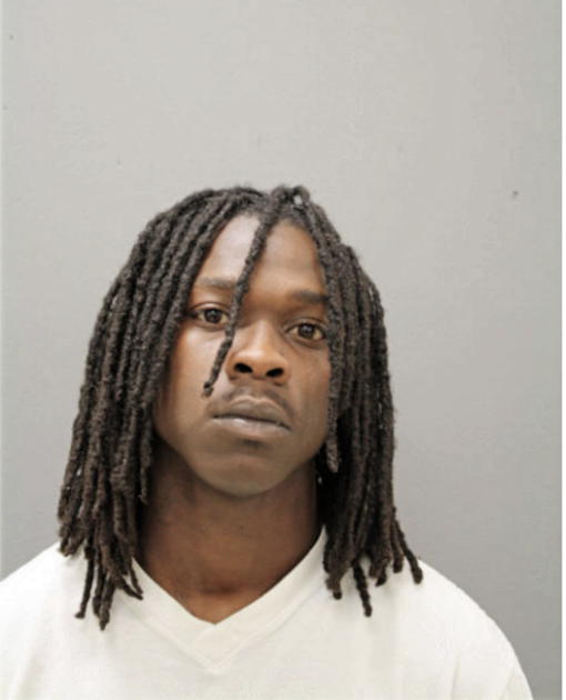 DEVVION I FLEMING, Cook County, Illinois
