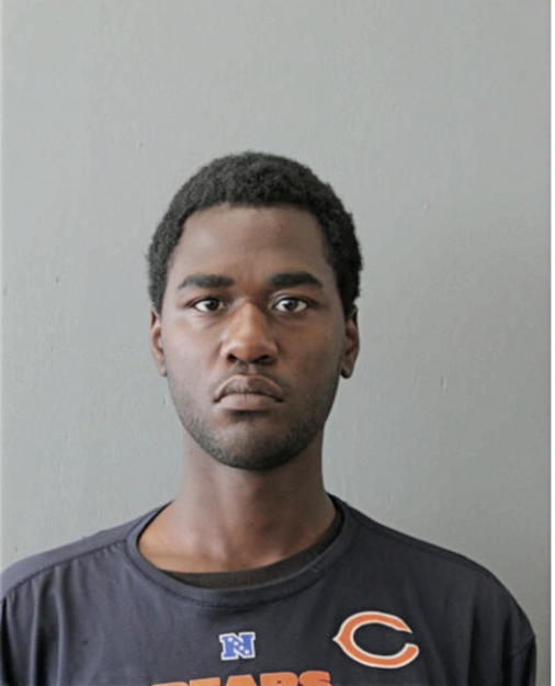 RAYMOND L FREEMAN, Cook County, Illinois