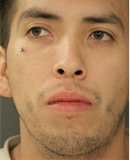 CARLOS F GALLEGOS, Cook County, Illinois