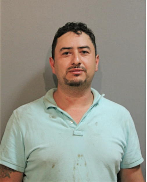 JORGE G GARCIA, Cook County, Illinois