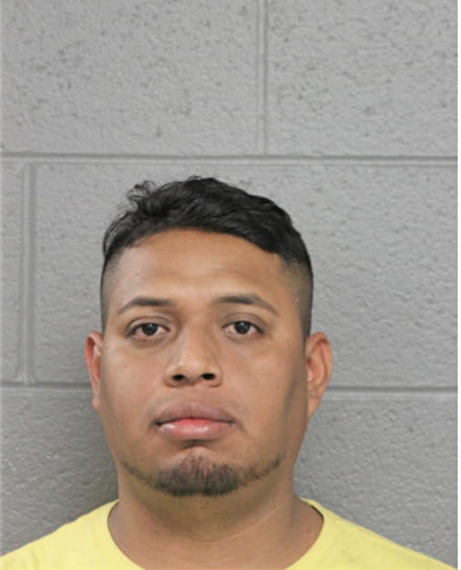 JORGE L GARCIA-PALMA, Cook County, Illinois