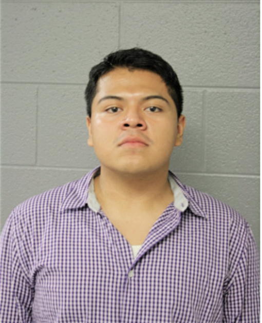 VICTOR GARCIA, Cook County, Illinois