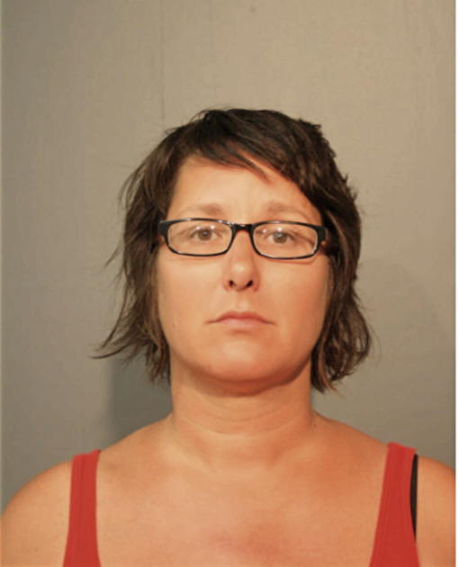 KAREN E GOSTLIN, Cook County, Illinois