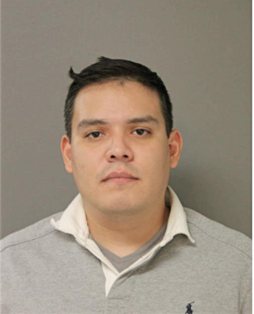 ANDRIK GUZMAN, Cook County, Illinois